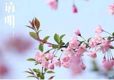 關於（yú）廣東香蕉黄瓜丝瓜绿巨人樱桃最新版清（qīng）明放假通知