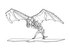 線（xiàn）切（qiē）割（gē）“3D蝙蝠”圖紙免費（fèi）下載