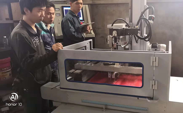 福建（紅樹林木業）現（xiàn）場培訓照片