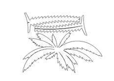 線（xiàn）切割椰樹,線切割圖紙免費下載