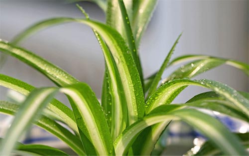 圖片2.jpg 圖片2.jpg