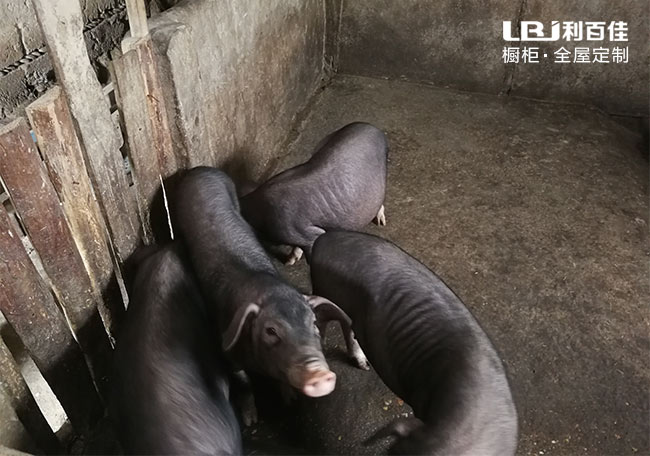 17.c18起草视频精準(zhǔn)扶貧3.jpg 17.c18起草视频精準扶(fú)貧3.jpg